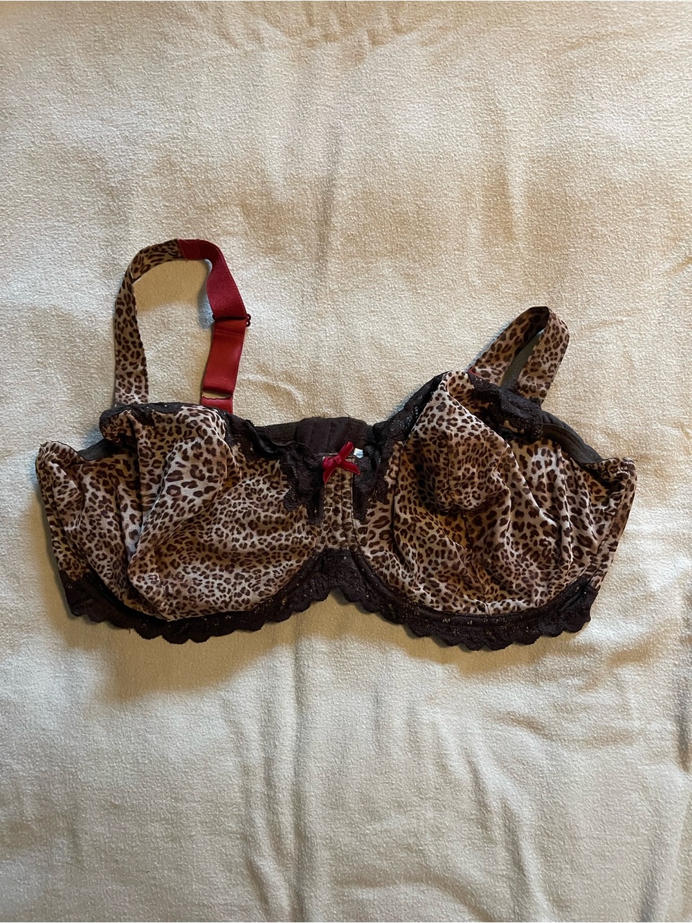 Avenue Leopard Print Underwire Bra with Dark Lace and Fuchsia Accents